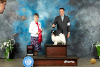 Papillon #7 Sat G2 Judge Donna Buxton