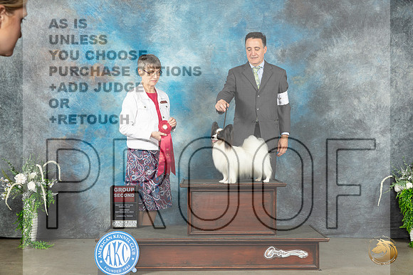 Papillon #7 Sat G2 Judge Donna Buxton_JP_1641_Lubbock2023_HR3