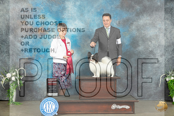 Papillon #7 Sat G2 Judge Donna Buxton_JP_1646_Lubbock2023_HR3