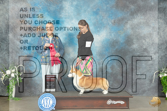 Pembroke Welsh Corgi #15 Sat G2 Judge Carolyn Herbel_JP_1604_Lubbock2023_HR3