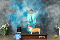Pembroke Welsh Corgi #8 Sat PG1 Judge Anne Barlow