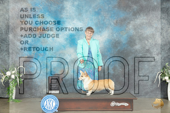 Pembroke Welsh Corgi #8 Sat PG1 Judge Anne Barlow_JP_1471_Lubbock2023_HR3