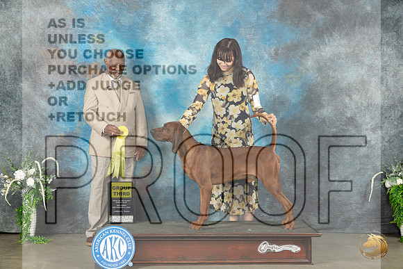 Redbone Coonhound #5 Sat G3 Judge Eugene Blake_JP_1600_Lubbock2023_HR3