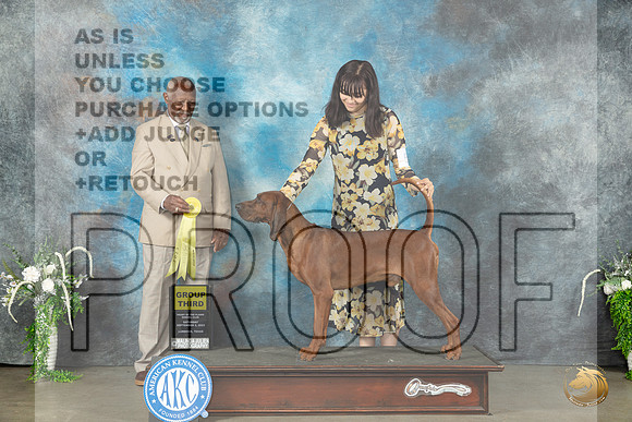 Redbone Coonhound #5 Sat G3 Judge Eugene Blake_JP_1601_Lubbock2023_HR3