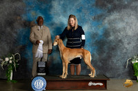 Saluki #7 Sat G4 Judge Eugene Blake
