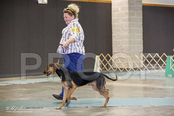 _JN_2634-BeltonJan2015-HR3