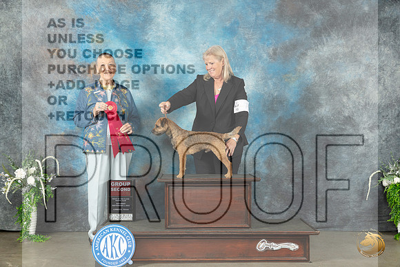 Border Terrier #7 Sat G2 Judge Carolyn Herbel_JP_1682_Lubbock2023_HR3