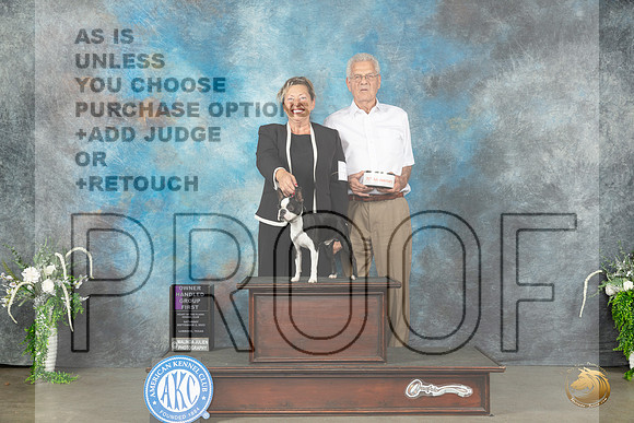 Boston Terrier #7 Sat OHG1 Judge Gloria Kerr_JP_1741_Lubbock2023_HR3