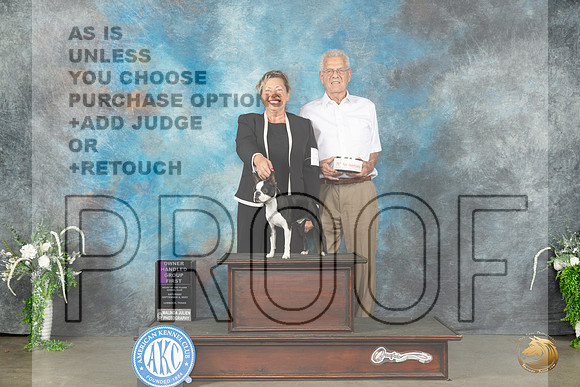 Boston Terrier #7 Sat OHG1 Judge Gloria Kerr_JP_1745_Lubbock2023_HR3