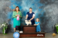 Chihuahua Long Coat #5 Sat OHG1 Judge Anne Barlow