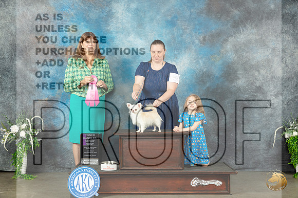 Chihuahua Long Coat #5 Sat OHG1 Judge Anne Barlow_JP_1711_Lubbock2023_HR3