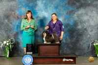 Havanese #12 Sat OHG3 Judge Anne Barlow