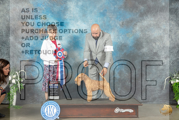 Lakeland Terrier #5 Sat BIS Judge Donna Buxton_JP_1721_Lubbock2023_HR3
