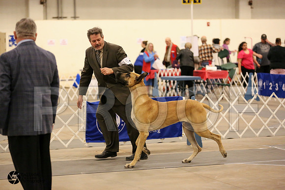 Dane-6097-MIdFeb14-HR
