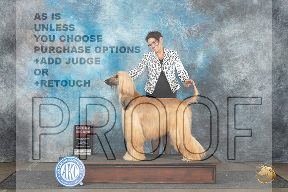 Afghan Hound #6 Mon G2 Judge Dr Steve Keating__JP_4502_Lubbock_2024_HR3