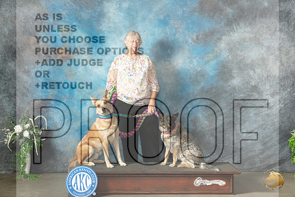 Australian Cattle Dogs Willow Sun_JP_1747_Lubbock2023_HR3