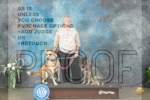 Australian Cattle Dogs Willow Sun_JP_1753_Lubbock2023_HR3