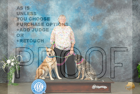 Australian Cattle Dogs Willow Sun_JP_1752_Lubbock2023_HR3