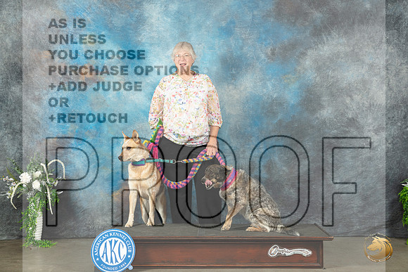 Australian Cattle Dogs Willow Sun_JP_1759_Lubbock2023_HR3