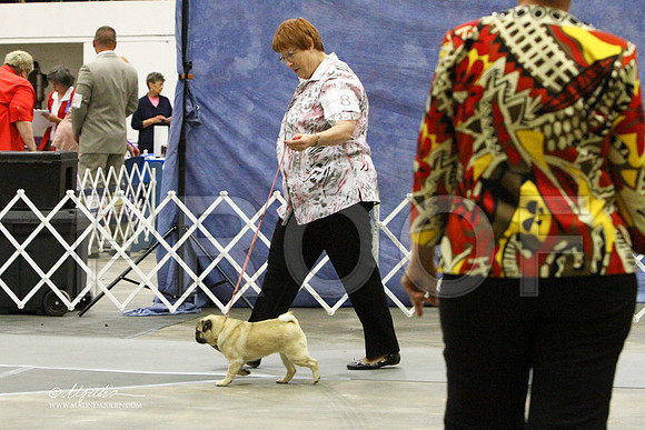 Pug-9333LR