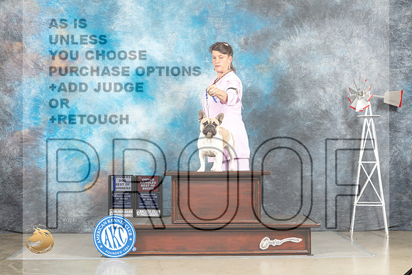 French Bulldog #7 Fri BOWOHBOB Judge Joan Liebes_MJ_3916_Amarillo_2022_HR3