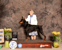 Dobe16FBSMuth