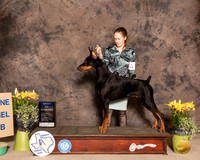 Dobe19FBWMuth