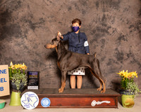 Dobe9FBOBMuth