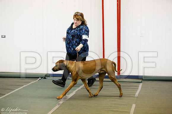 _MJ_4911-DentonMar2015-HR3