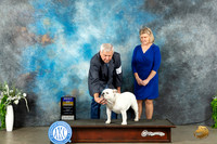 Bulldog #24 Sun BOB Judge Carolyn Herbel