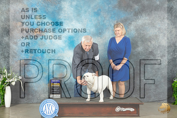 Bulldog #24 Sun BOB Judge Carolyn Herbel_JP_1906_Lubbock2023_HR3