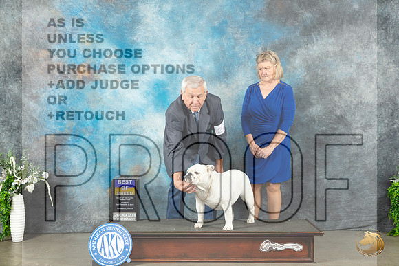 Bulldog #24 Sun BOB Judge Carolyn Herbel_JP_1909_Lubbock2023_HR3