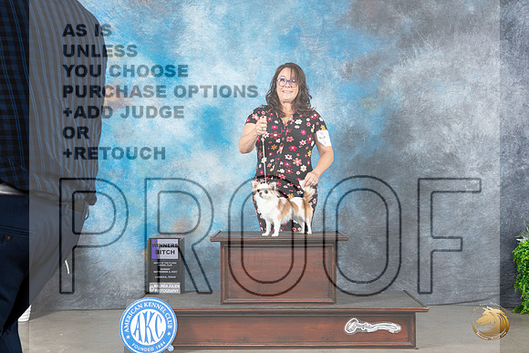 Chihuahua Long Coat #10 Sun WB Judge Gloria Kerr_JP_1922_Lubbock2023_HR3