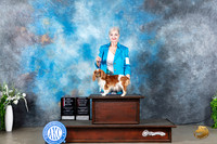 English Toy Spaniel #14 Sun BOSOHBOB Judge Gloria Kerr