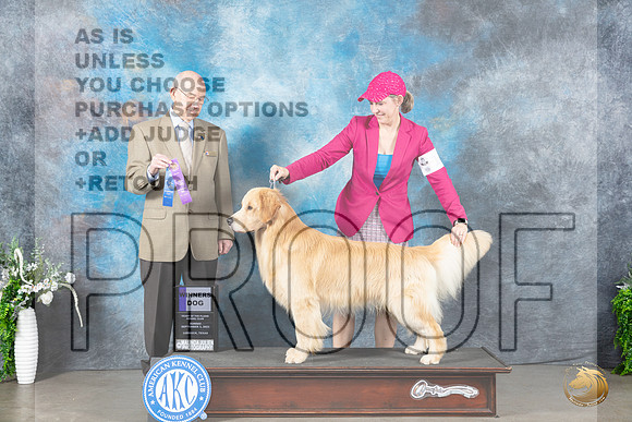 Golden Retriever #7 Sun WD Judge Ken Buxton_JP_1957_Lubbock2023_HR3