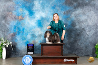 Havanese #12 Sun BOBOHBOB Judge Gloria Kerr