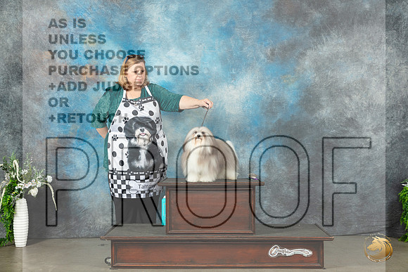 Havanese #5 Headshots Sun_JP_1852_Lubbock2023_HR3