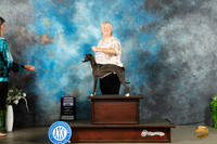 Italian Greyhound #7 Sun RWD Judge Gloria Kerr