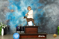 Italian Greyhound #9 Sun WDCHOHBOB Judge Gloria Kerr
