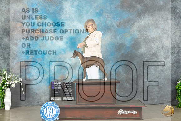 Italian Greyhound #9 Sun WDCHOHBOB Judge Gloria Kerr_JP_1888_Lubbock2023_HR3