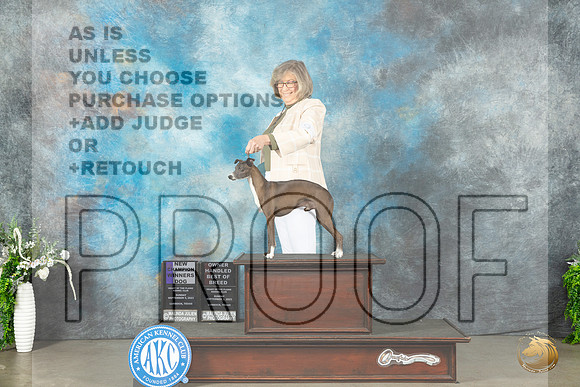 Italian Greyhound #9 Sun WDCHOHBOB Judge Gloria Kerr_JP_1891_Lubbock2023_HR3