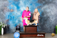 Pembroke Welsh Corgi #17 Sun RWD Judge Carolyn Herbel