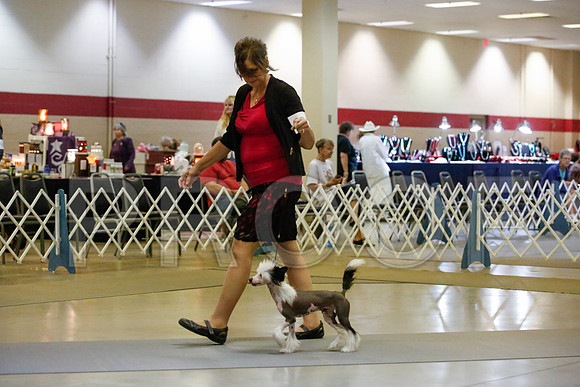 _JJ_0783-AmarilloSept2014-HR3