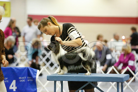 _JN_0065-AmarilloSept2014-HR3