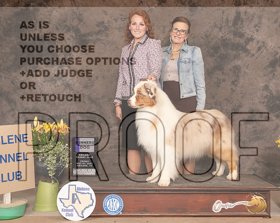 Aus19FWDHedge0311_AB21
