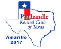 Amarillo 2017
