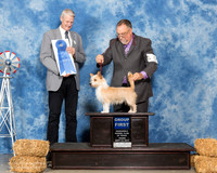 PORTUGUESE PODENGO PEQUENOS #5 Thur G1 Williams David Katherin Sullivan Agent David Williams Judge Jon R Cole