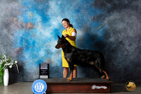 Beauceron #5 Sat G4 Judge Carolyn Herbel