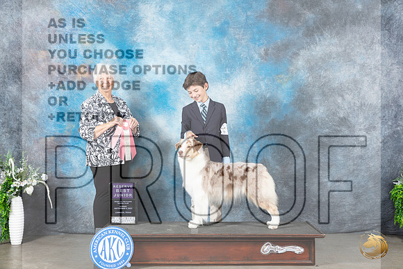 Australian Shepherd #J400 Sun RBJr Judge Gloria Kerr_JP_2192_Lubbock2023_HR3