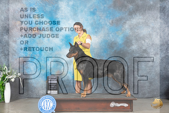Beauceron #5 Sat G4 Judge Carolyn Herbel_JP_2501_Lubbock2023_HR3